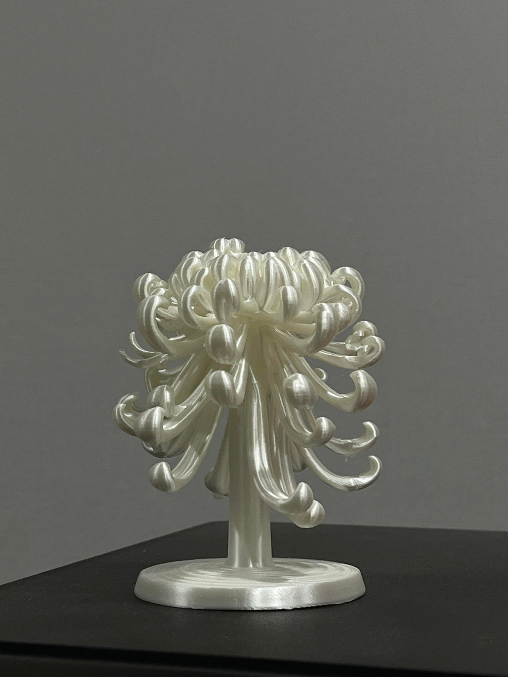 Mum Loop Jewelry Display Stand