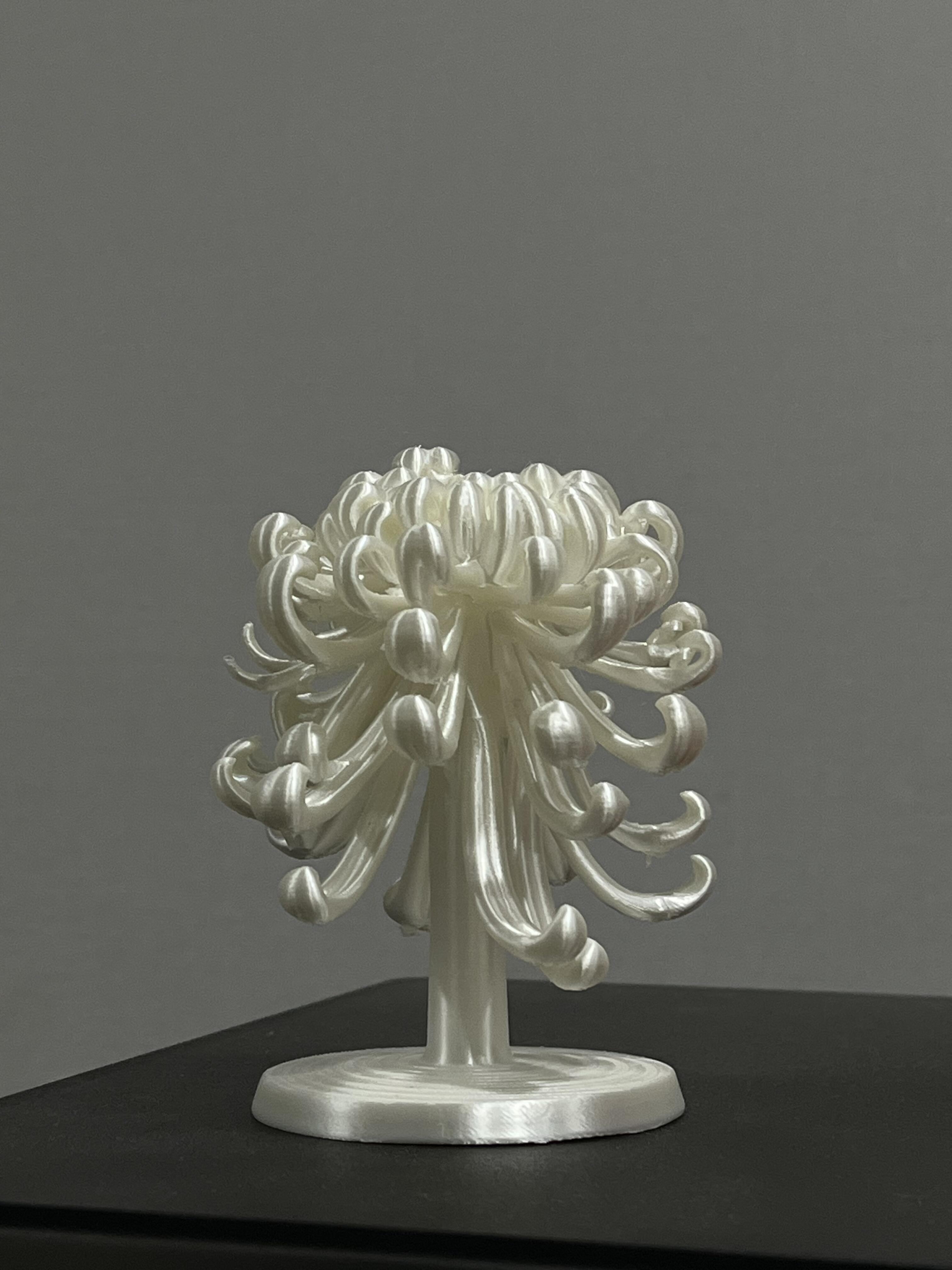 Mum Loop Jewelry Display Stand