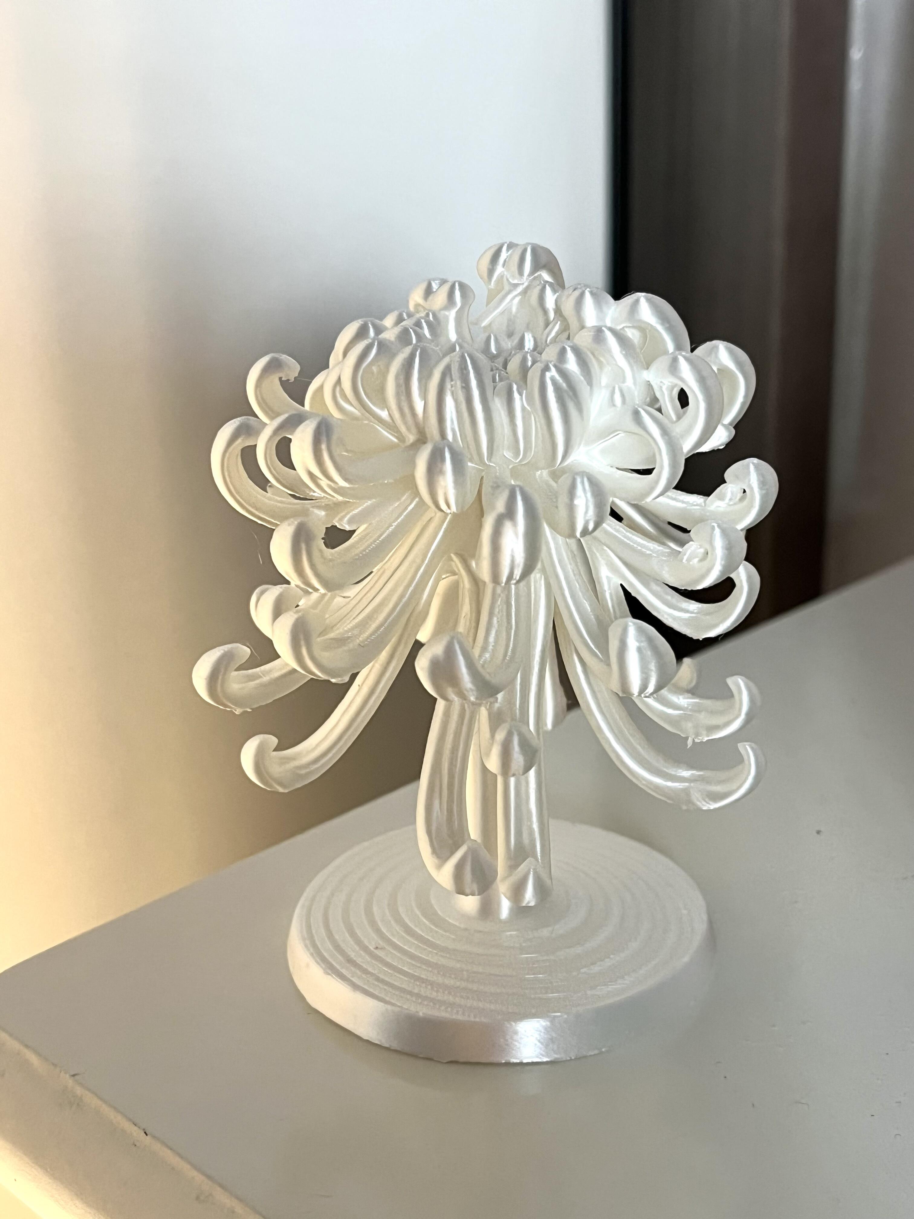 Mum Loop Jewelry Display Stand